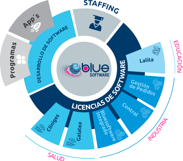 IM 4 Infografia Bluesoftware